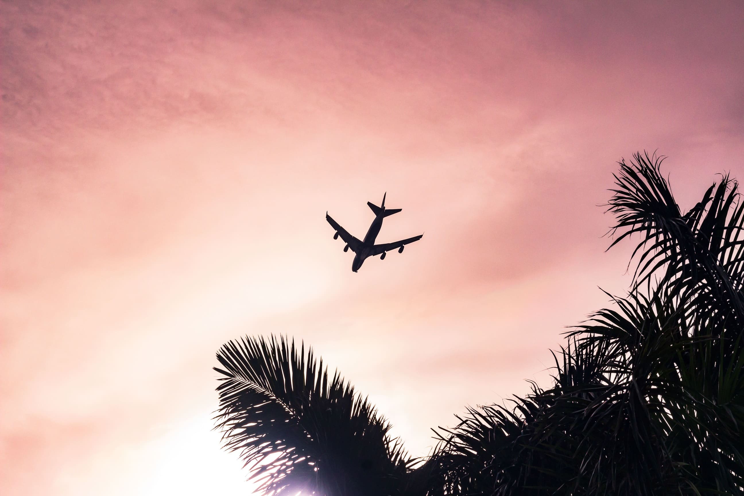 eduardovelazcoguartNukqi6L5DUunsplash8jpg