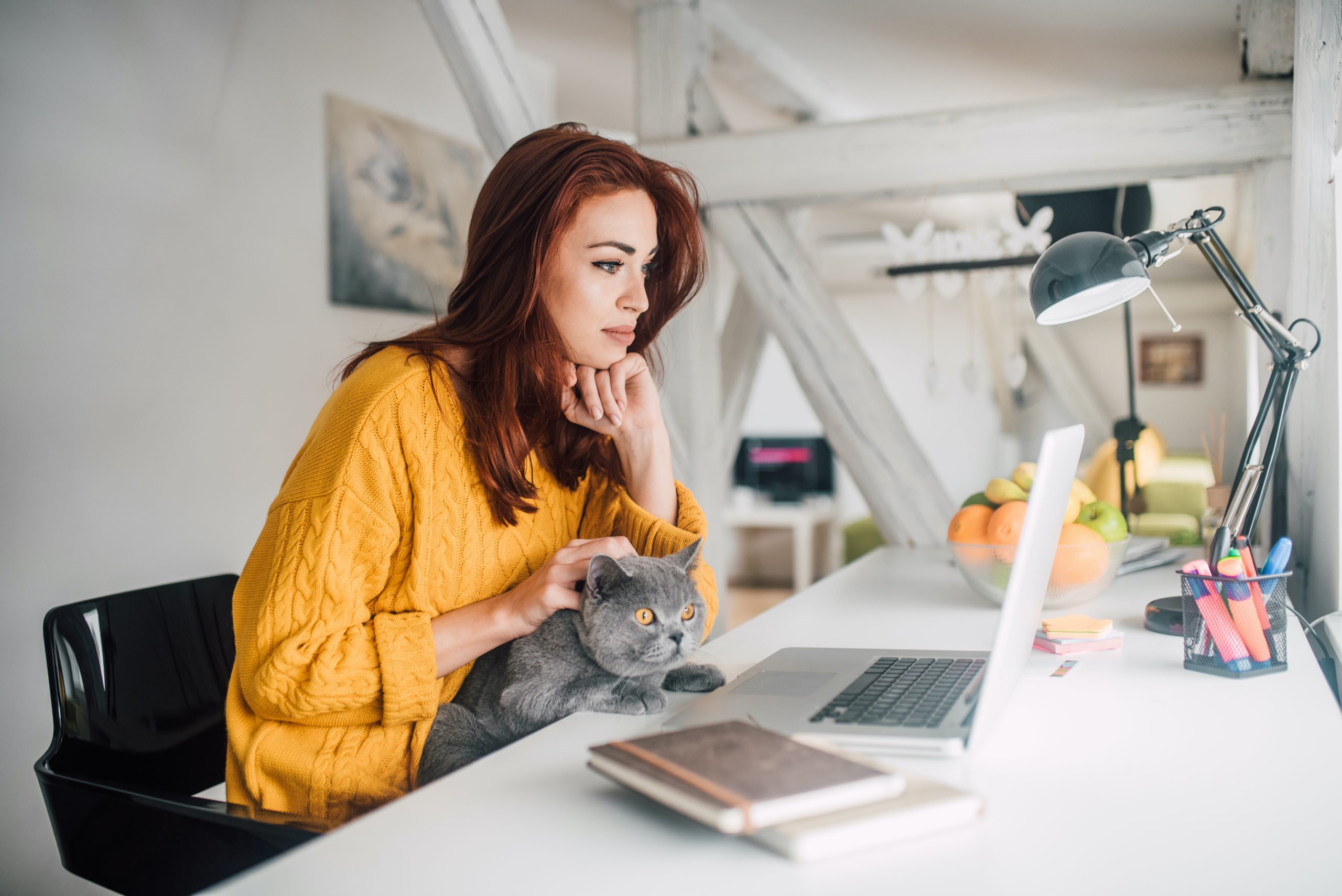 iStock-1140762836-scaled
