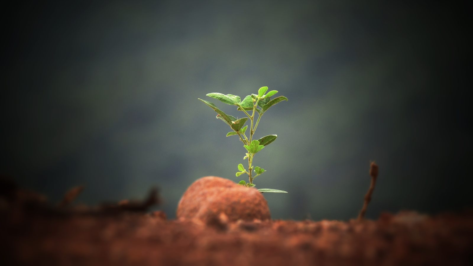 sushobhan-badhai-372964-unsplash-1600x900
