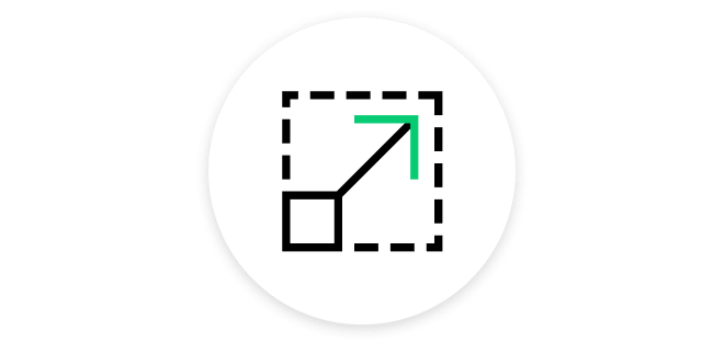 Scale Easily Icon